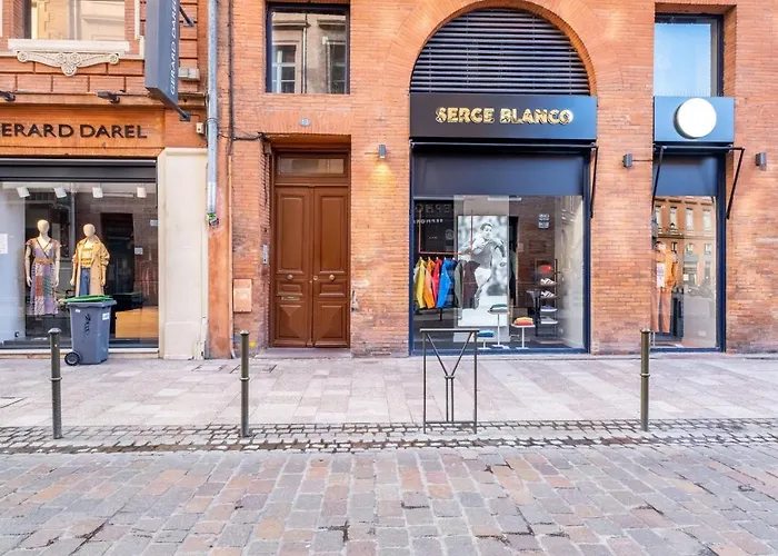 Nocnoc - Le Napoleon, 200m2 Au Coeur De Appartamento Tolosa